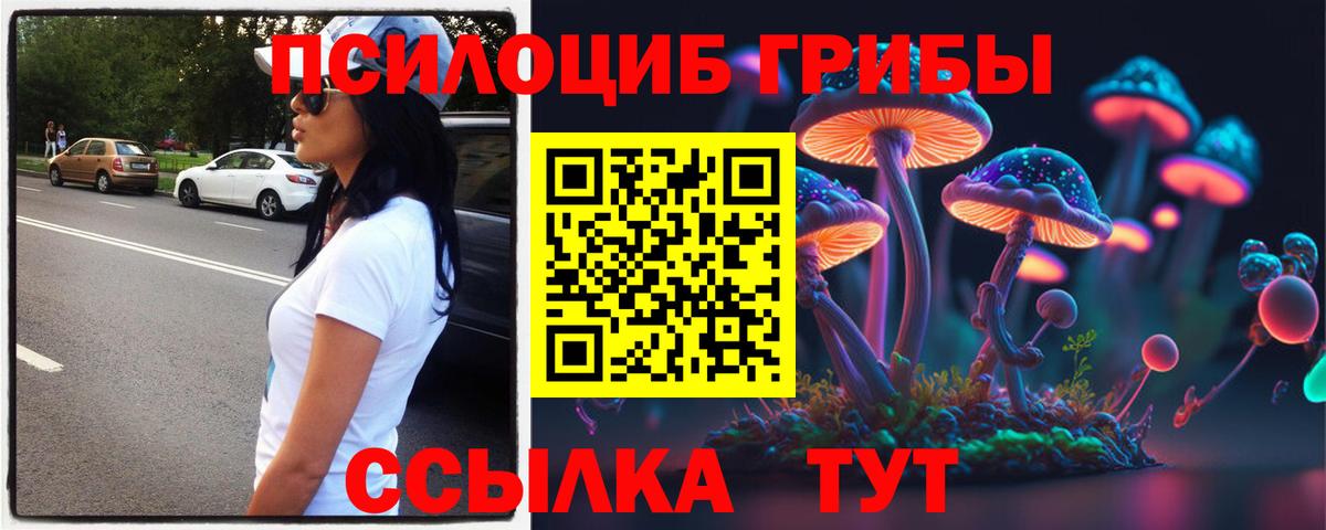 Галлюциногенные грибы мицелий Реж